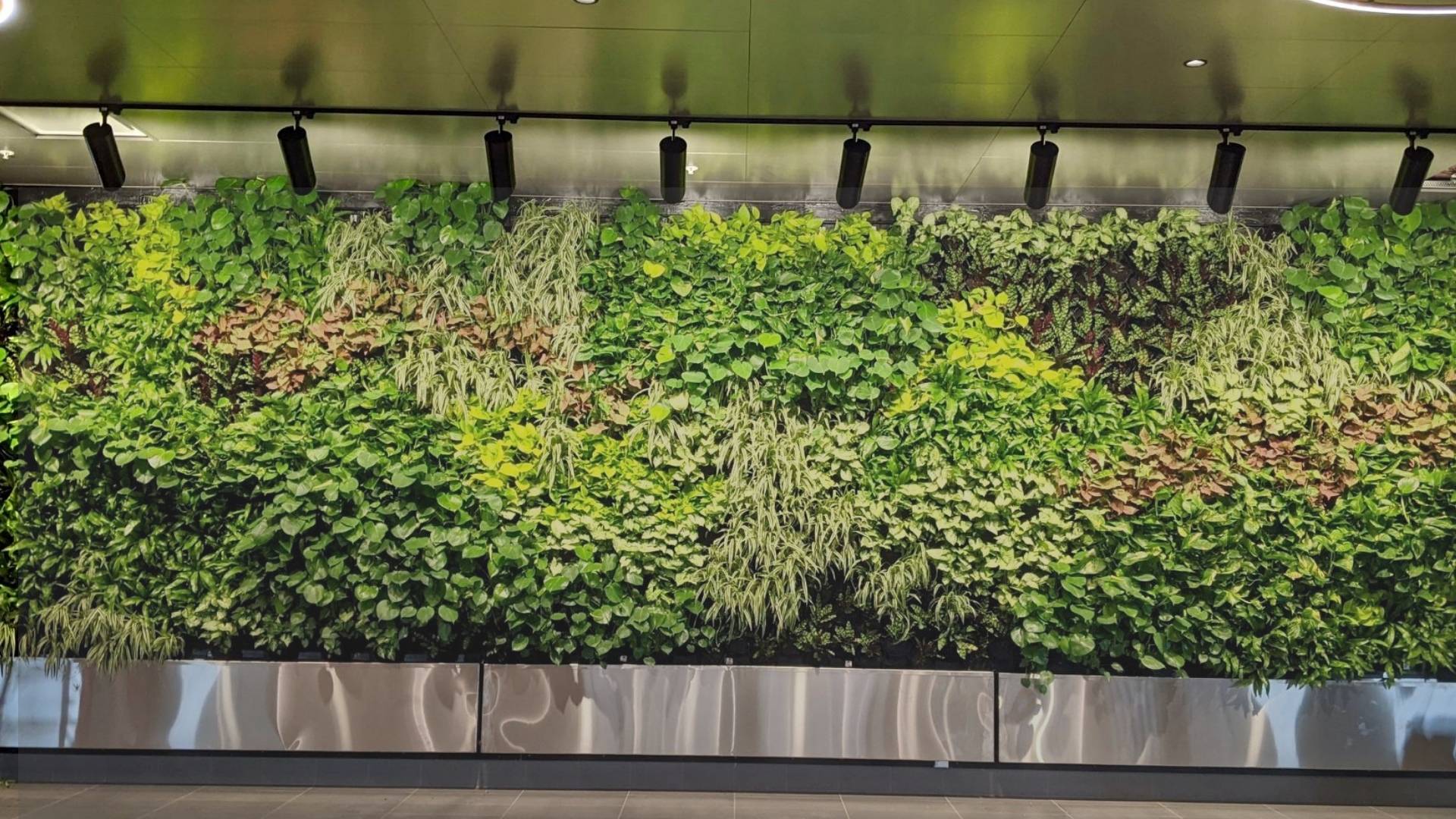View of Custom Living Walls